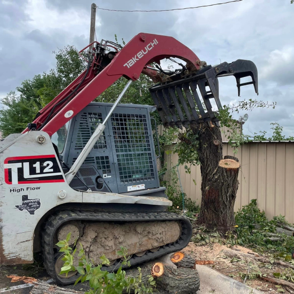 tree removal